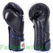 Боксерские перчатки BGV6 blue 14 oz