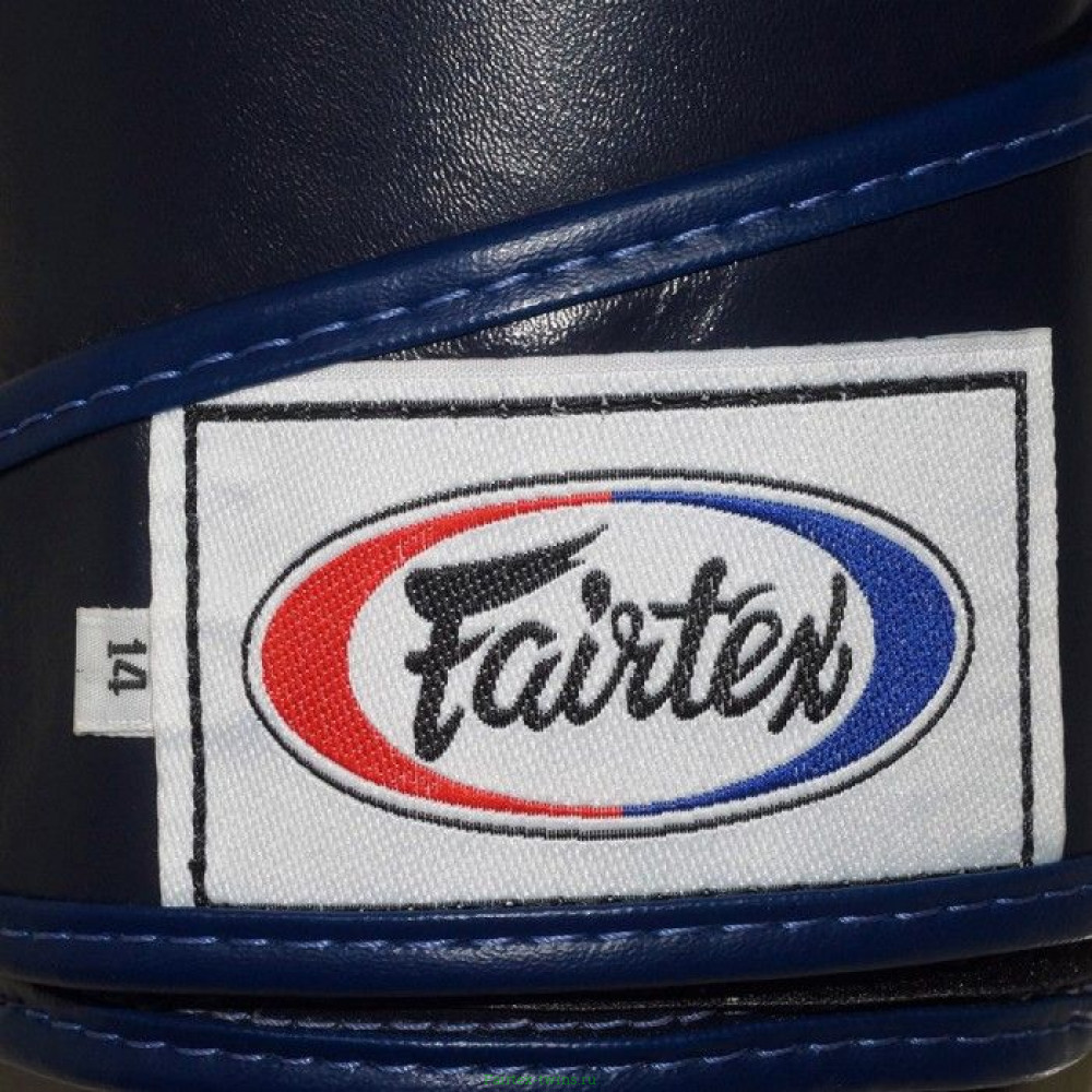 Боксерские перчатки BGV6 blue 16 oz