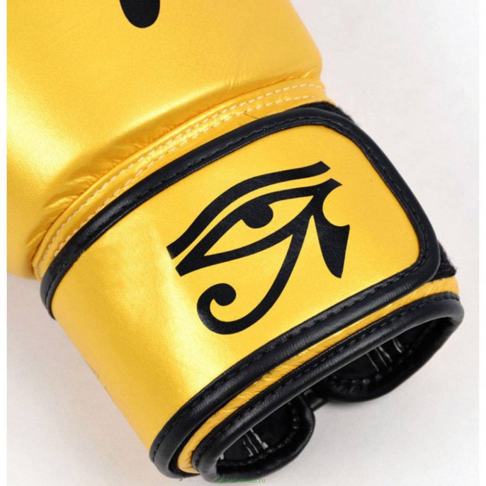 Боксерские перчатки Fairtex BGV1 Falcon 10 oz