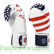 Боксерские перчатки Fairtex BGV1 USA 12 oz