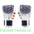 Боксерские перчатки Fairtex BGV1 USA 16 oz