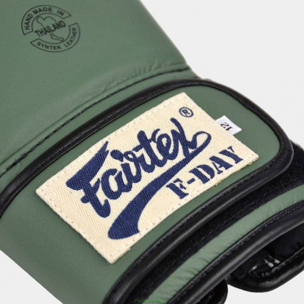 Боксерские перчатки Fairtex BGV11 F-DaY 10 oz