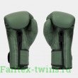 Боксерские перчатки Fairtex BGV11 F-DaY 10 oz