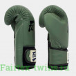 Боксерские перчатки Fairtex BGV11 F-DaY 10 oz