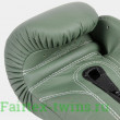 Боксерские перчатки Fairtex BGV11 F-DaY 12 oz