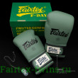 Боксерские перчатки Fairtex BGV11 F-DaY 12 oz