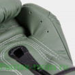 Боксерские перчатки Fairtex BGV11 F-DaY 12 oz