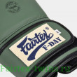 Боксерские перчатки Fairtex BGV11 F-DaY 14 oz