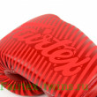 Боксерские перчатки Fairtex BGV14 Minimalisma 14 oz