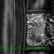 Боксерские перчатки Fairtex BGV14 Painter black 10 oz