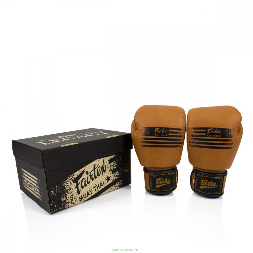 Боксерские перчатки Fairtex BGV21 LEGACY 10 oz