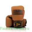 Боксерские перчатки Fairtex BGV21 LEGACY 10 oz