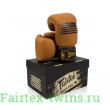 Боксерские перчатки Fairtex BGV21 LEGACY 14 oz