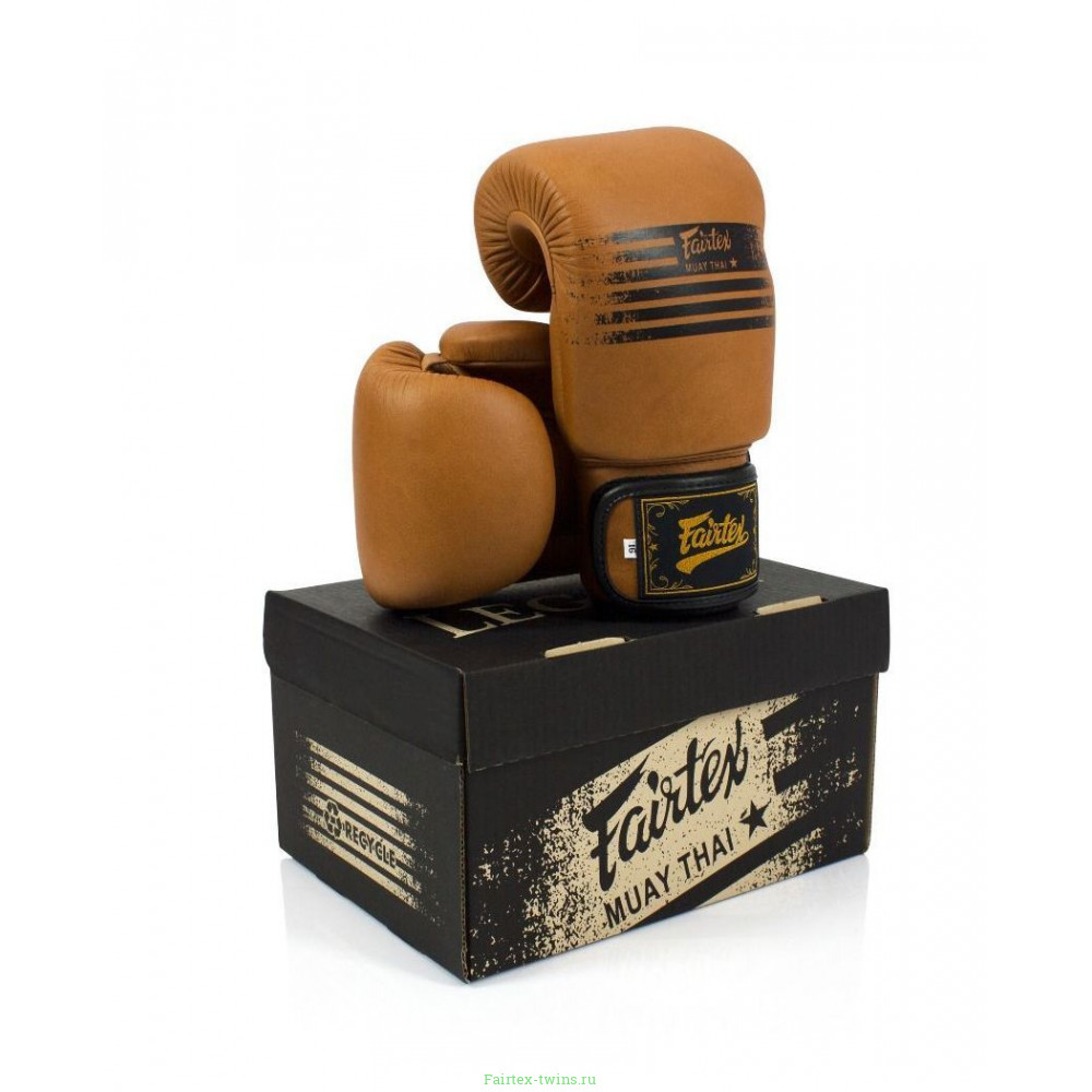 Боксерские перчатки Fairtex BGV21 LEGACY 14 oz