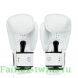 Боксерские перчатки Fairtex BGV27 white 12 oz