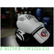 Боксерские перчатки Fairtex BGV27 white 16 oz