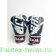 Боксерские перчатки Raja model 3 black 14 oz