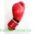 Боксерские перчатки Raja Snake red 10 oz