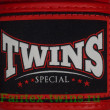 Боксерские перчатки Twins FBGV-44TH 10 oz