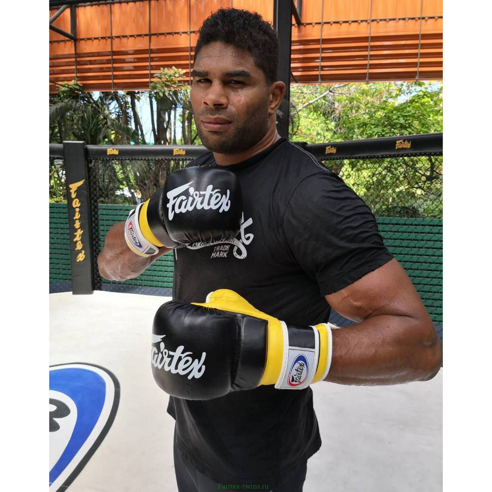 Перчатки Fairtex FGV18 black blue L