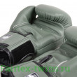 Боксерские перчатки Twins Special BGVL3 Olive 12 oz