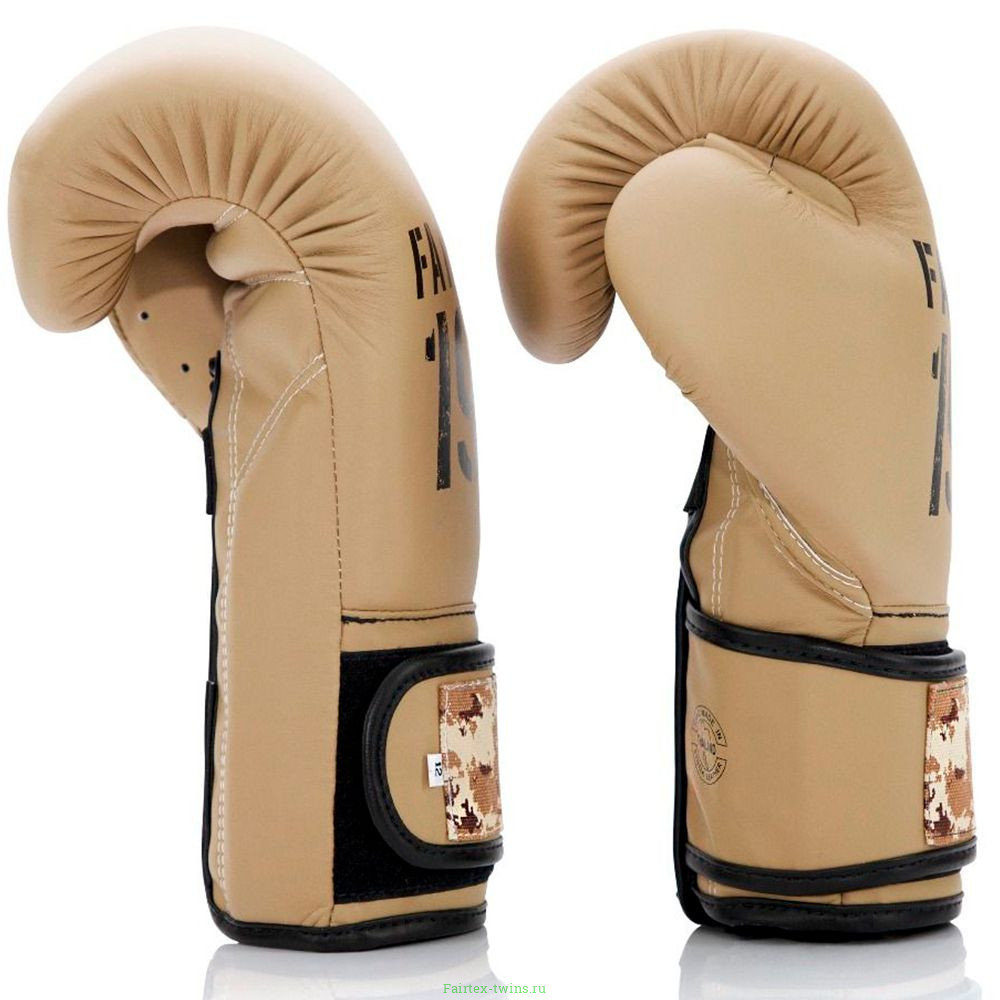 Боксерские перчатки Fairtex BGV25 F-DaY2 10 oz