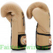 Боксерские перчатки Fairtex BGV25 F-DaY2 10 oz
