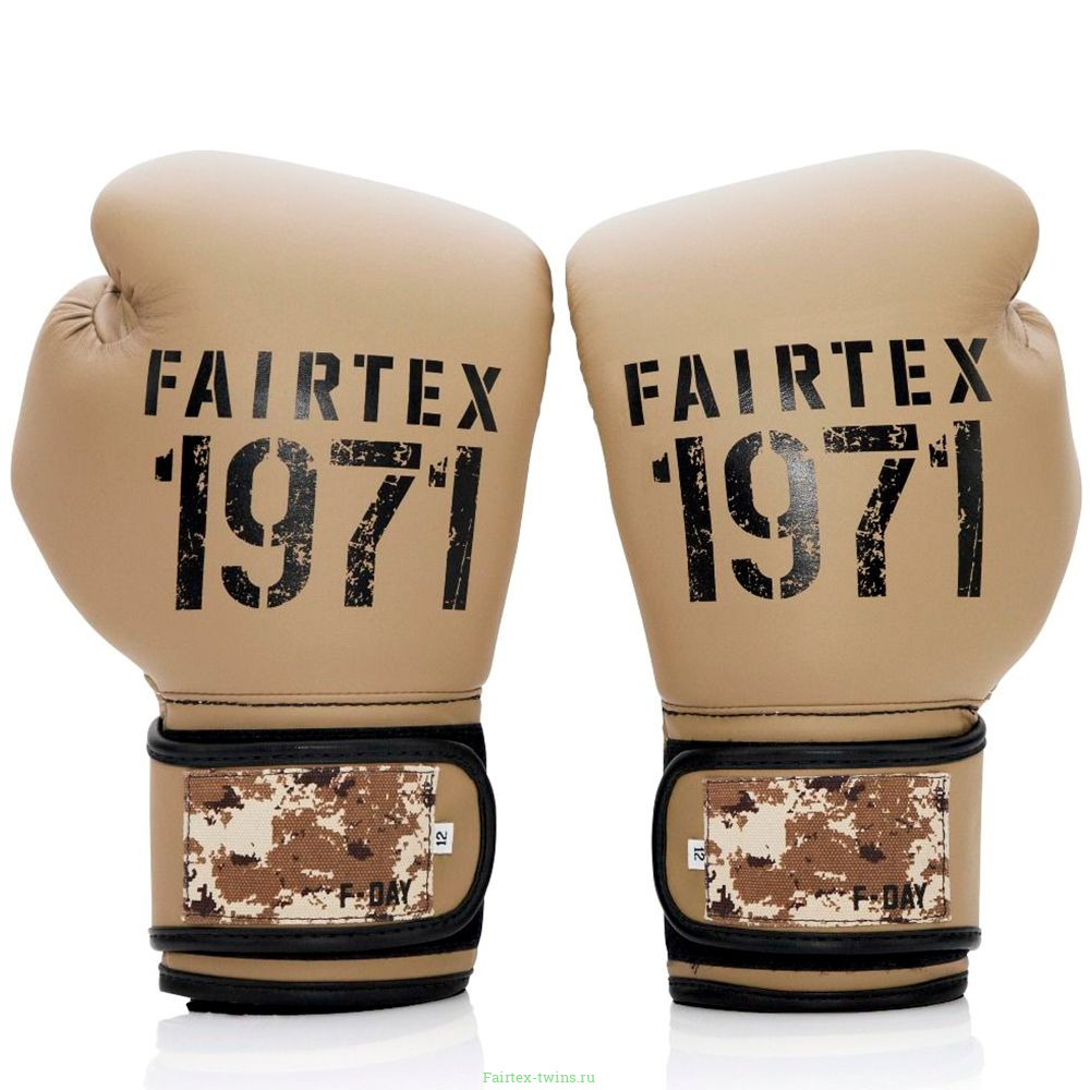 Боксерские перчатки Fairtex BGV25 F-DaY2 10 oz