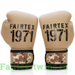 Боксерские перчатки Fairtex BGV25 F-DaY2 12 oz