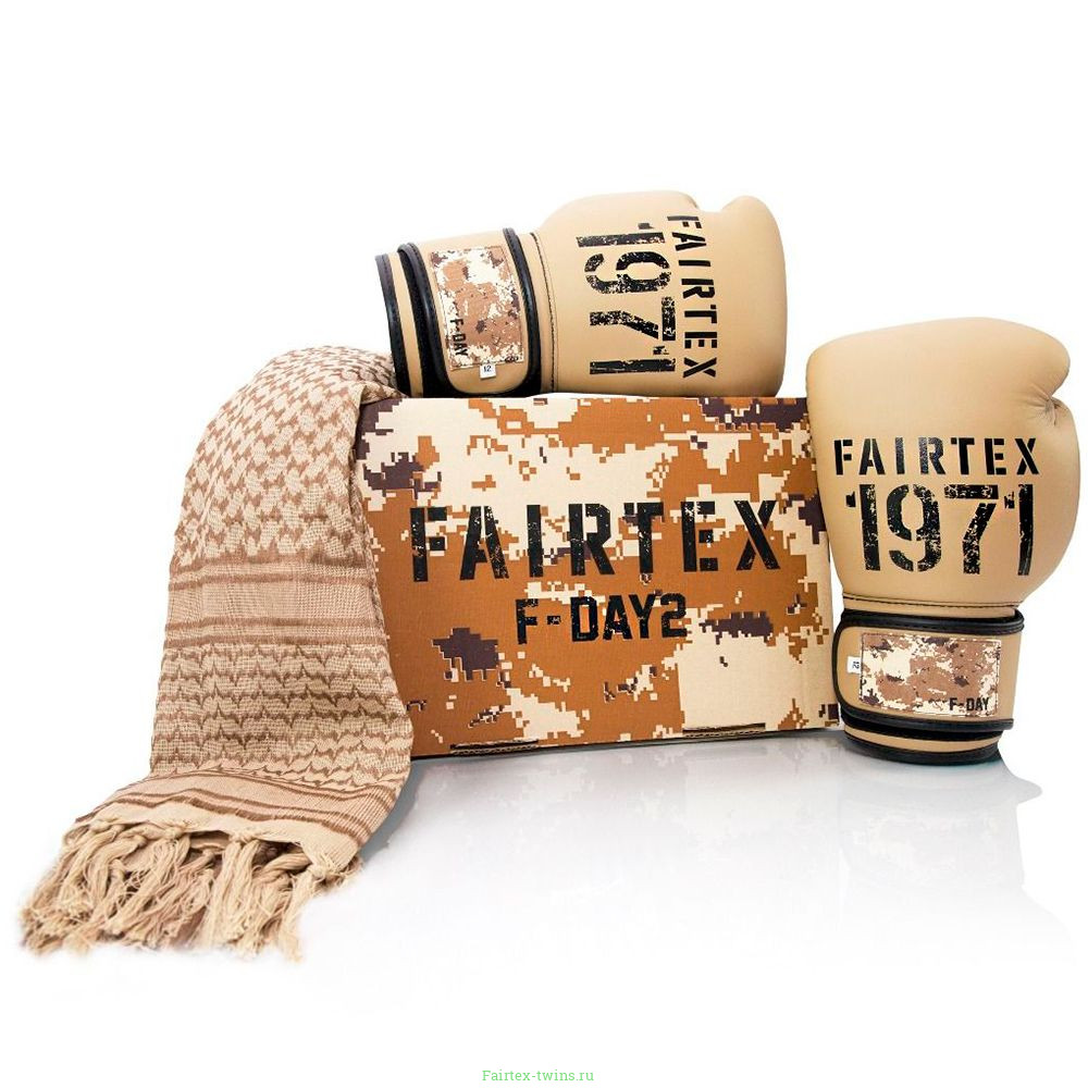 Боксерские перчатки Fairtex BGV25 F-DaY2 14 oz