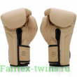 Боксерские перчатки Fairtex BGV25 F-DaY2 14 oz