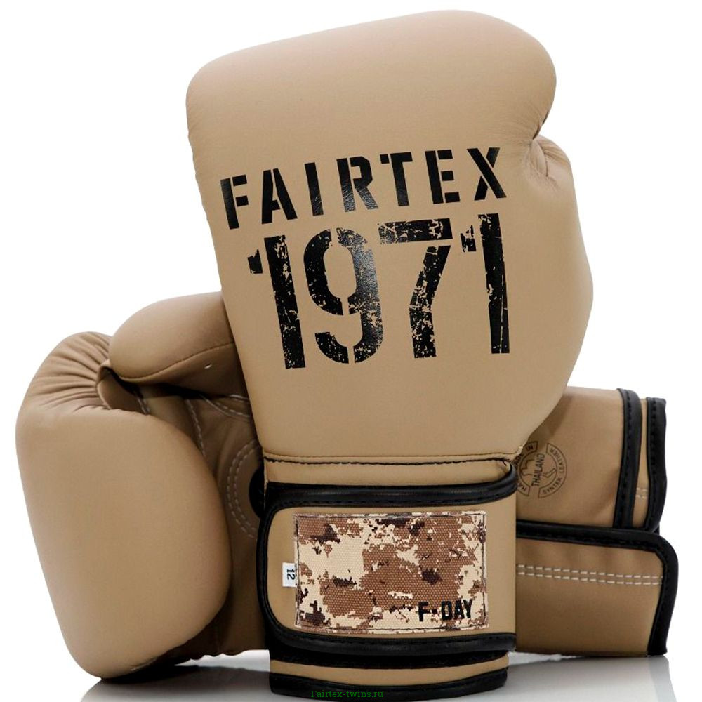Боксерские перчатки Fairtex BGV25 F-DaY2 16 oz