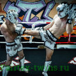 Защита голени Twins Special FSGL10-66 Comic M