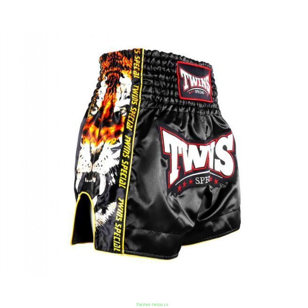Шорты для бокса Twins Special TBS New Payak S