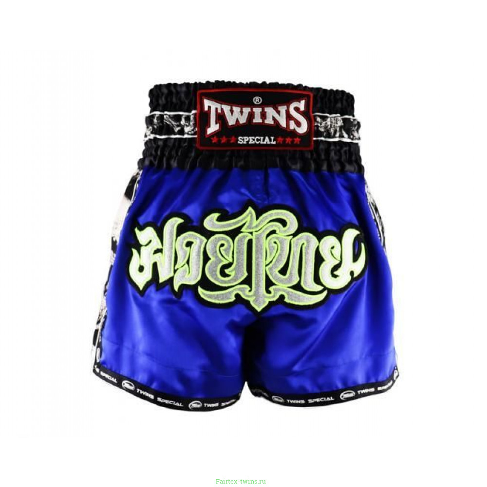 Шорты для бокса Twins Special TBS skull blue S