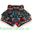 Шорты для бокса Twins Special TBS Aztec L