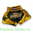 Шорты для бокса Twins Special TBS DRAGON 2 - M