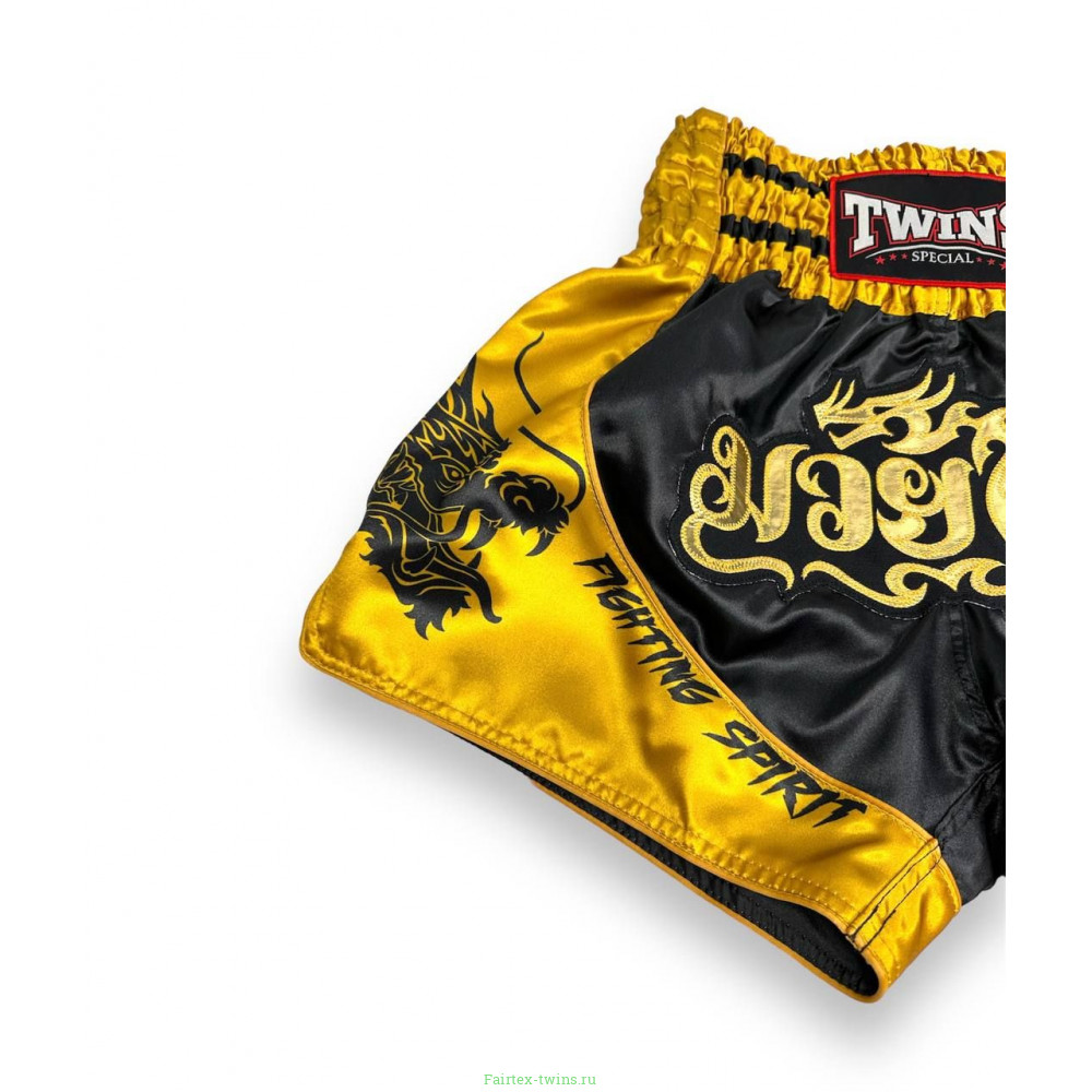 Шорты для бокса Twins Special TBS DRAGON 2 - S