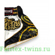 Шорты для бокса Twins Special TBS DRAGON 3 - S
