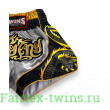 Шорты для бокса Twins Special TBS DRAGON-1 L