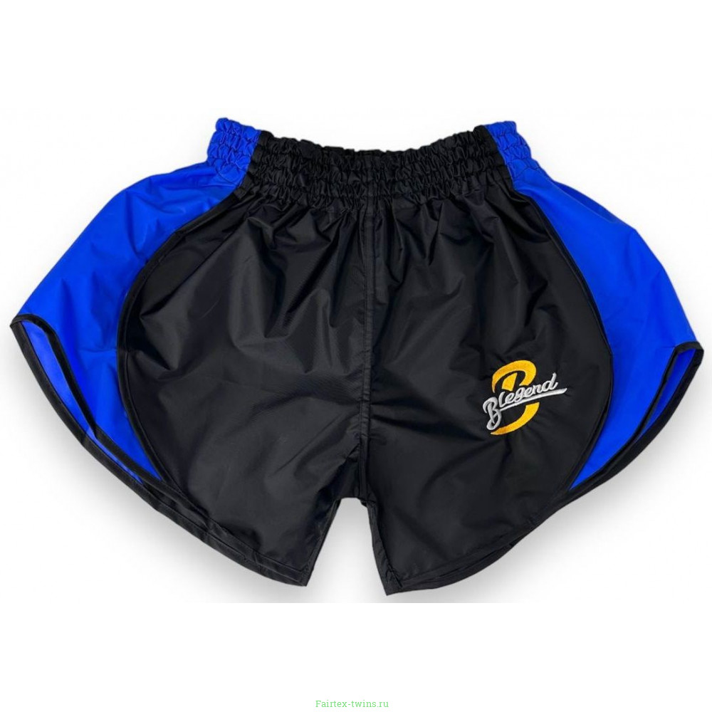 Шорты для бокса Blegend Powerhous black blue - L