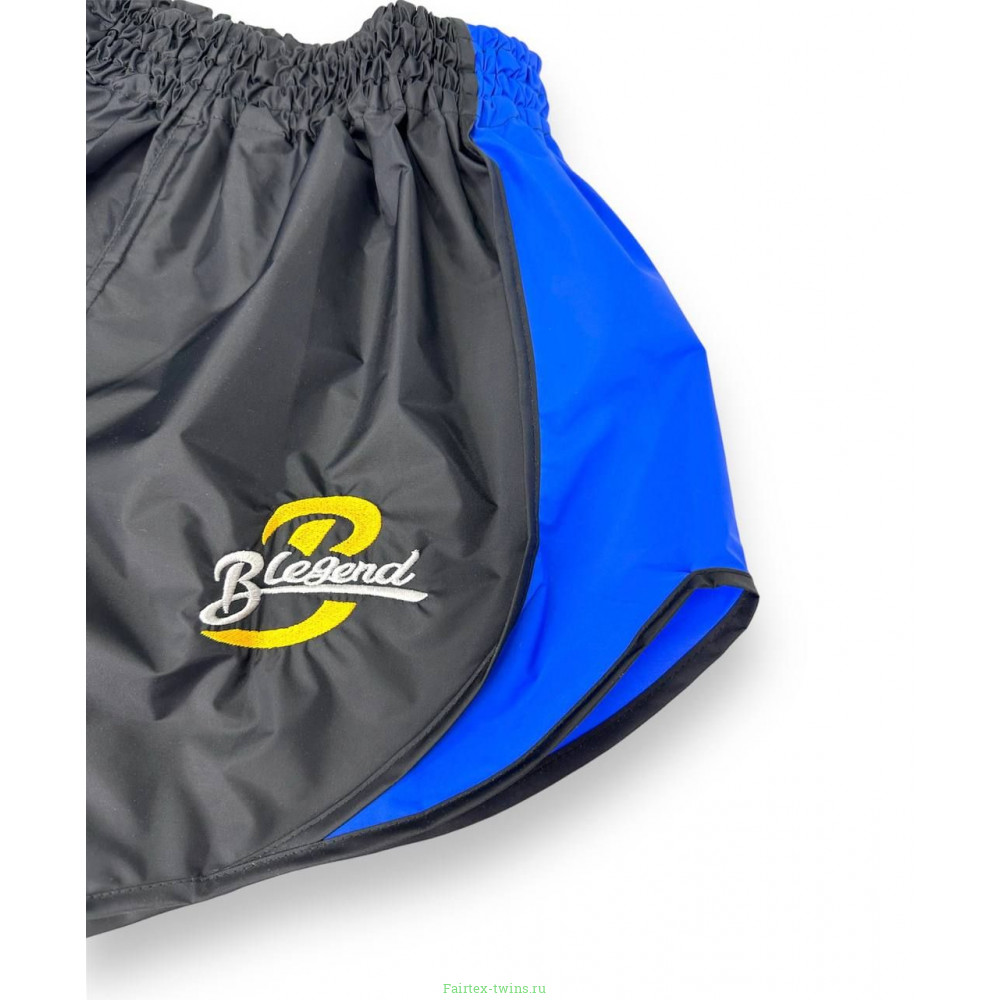 Шорты для бокса Blegend Powerhous black blue - M