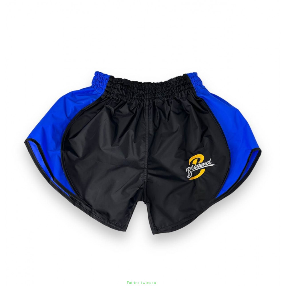 Шорты для бокса Blegend Powerhous black blue - M