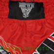 Шорты для бокса BORN TO BE TIGER WHITE-RED M