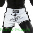 Шорты для бокса Fairtex BS1707 (белый) S