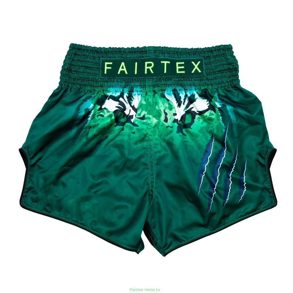 Шорты для бокса Fairtex BS1913 S