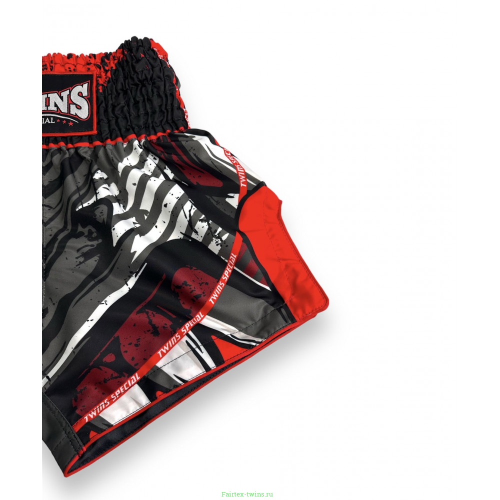 Шорты для бокса Twins Special TBS Demon S