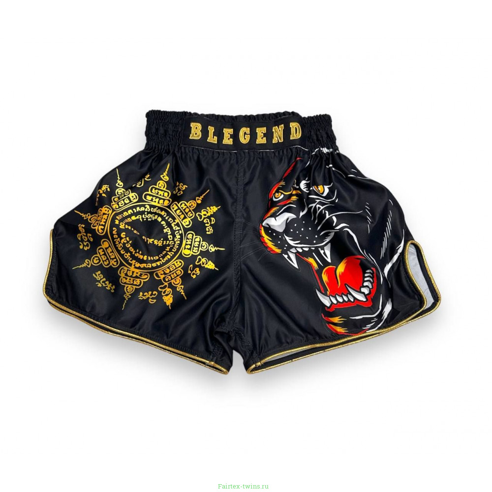 Шорты для бокса Blegend Magic Tiger L