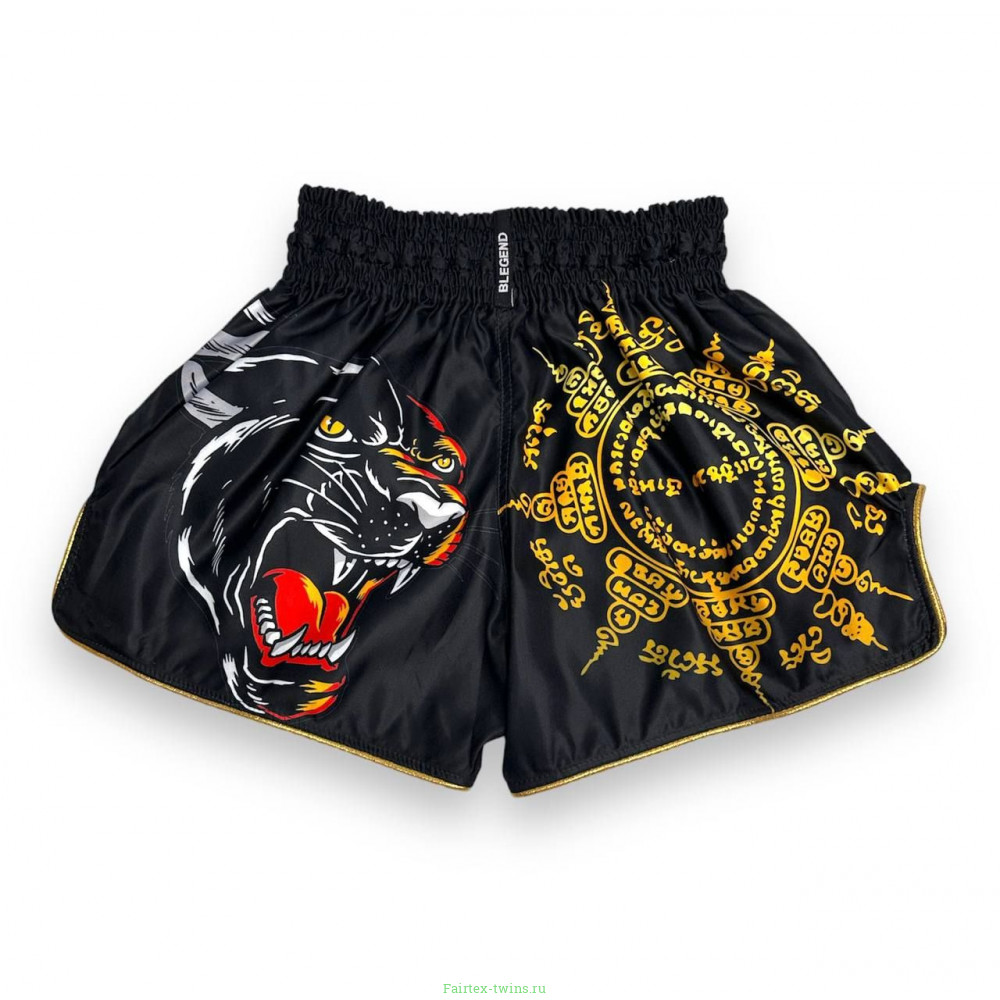Шорты для бокса Blegend Magic Tiger L