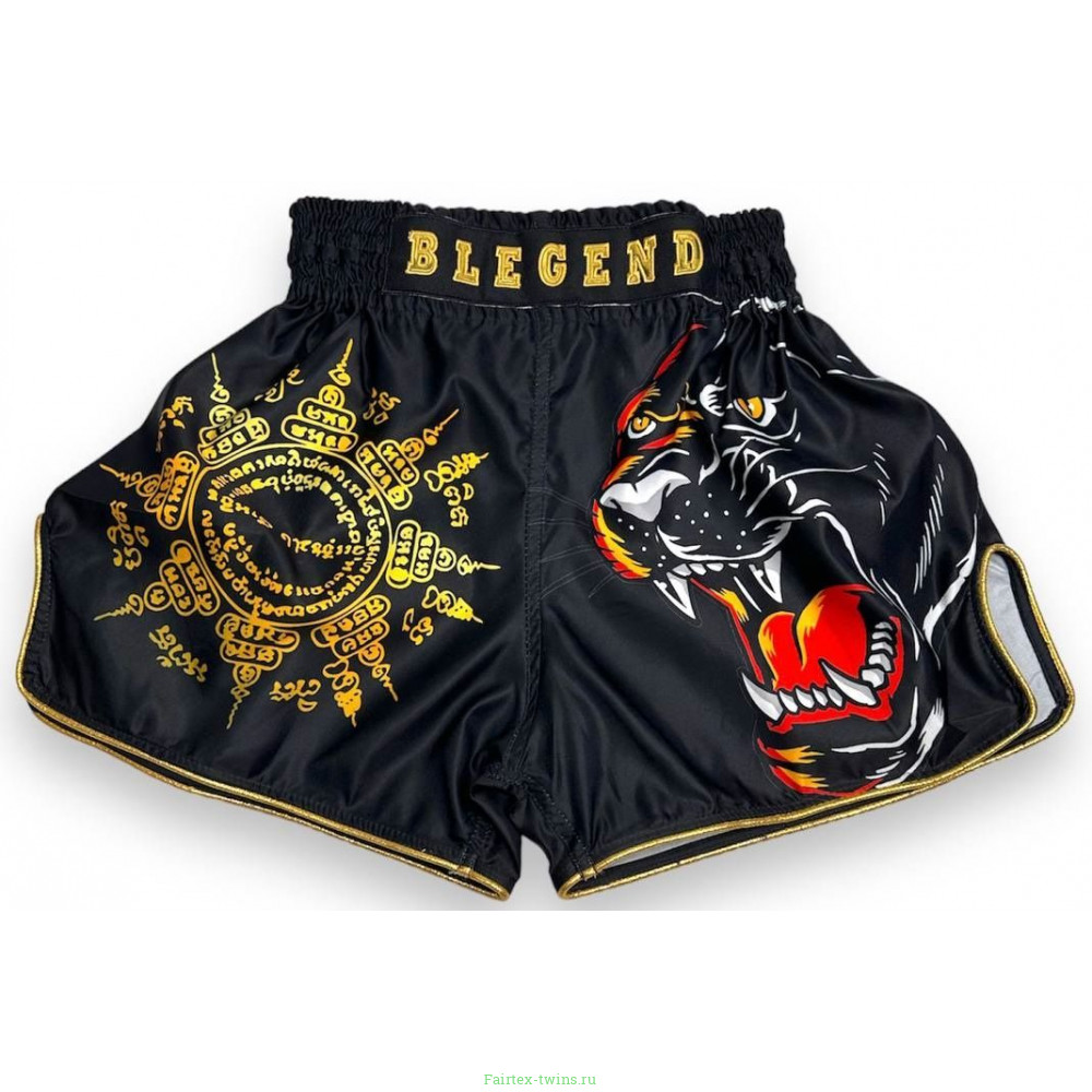 Шорты для бокса Blegend Magic Tiger L
